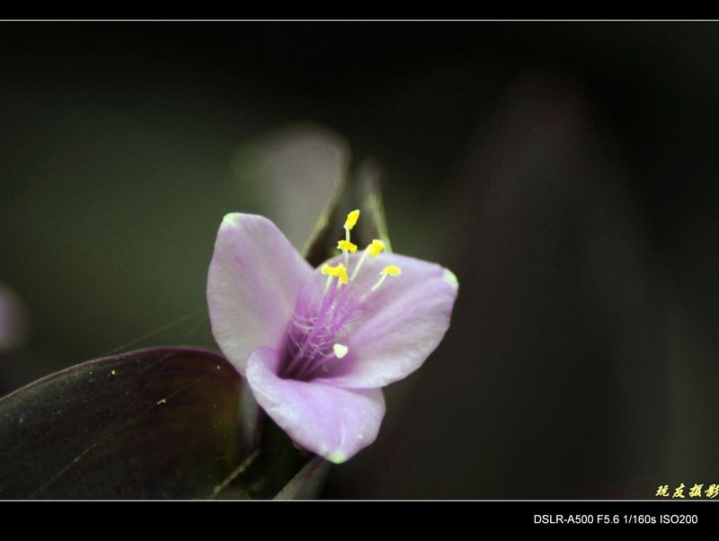 a8055193_s.jpg