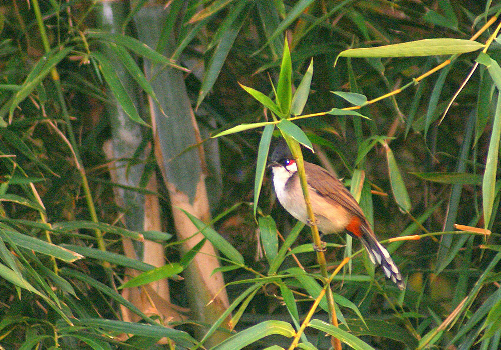 DSC04144.JPG