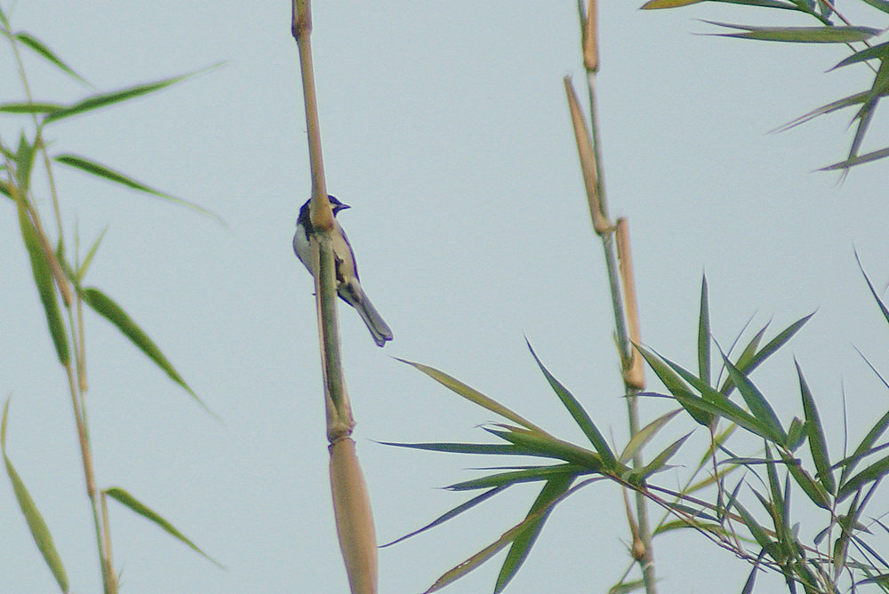 DSC04140.JPG