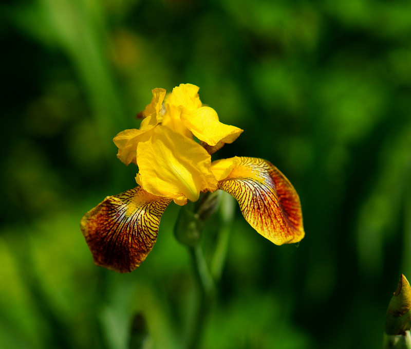a4428489_s.jpg