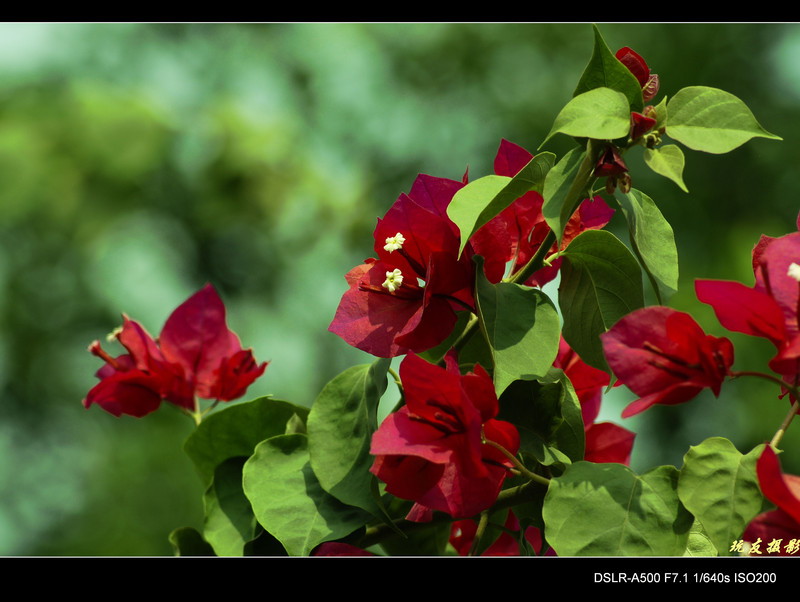 a8061967_s.jpg