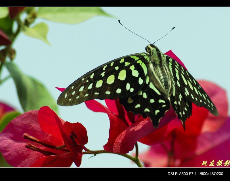 a8061974_s.jpg
