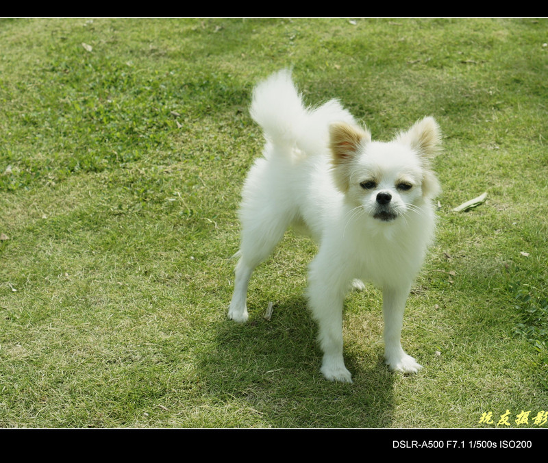 a8062002_s.jpg