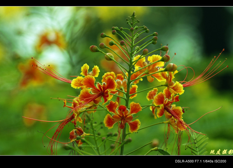 a8062014_s.jpg