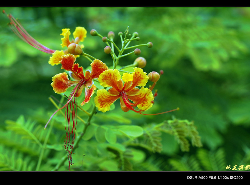 a8062040_s.jpg