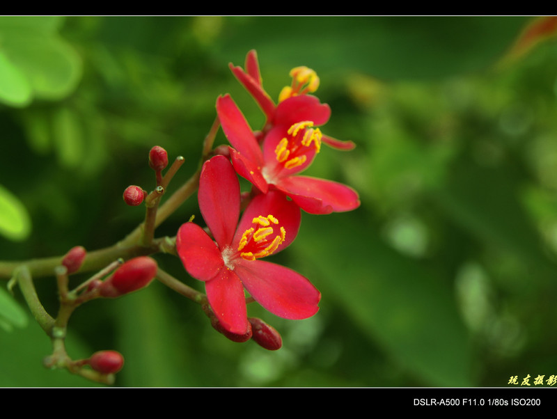 a8062057_s.jpg