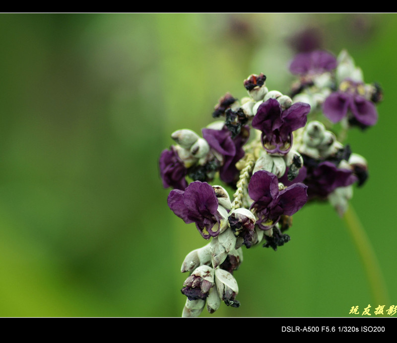 a8062111_s.jpg