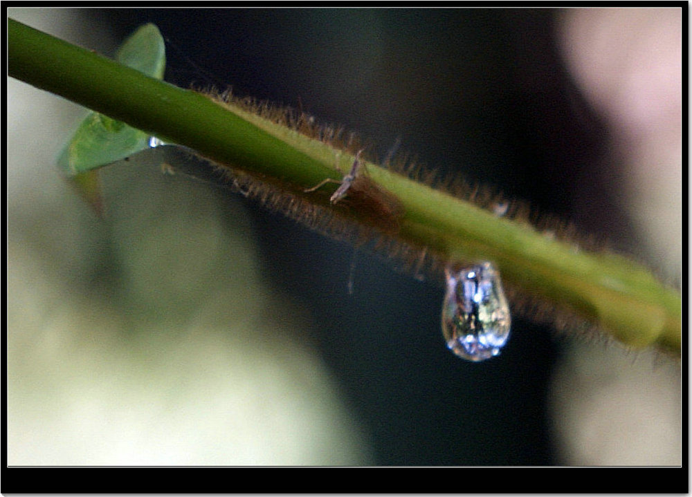 DSC04021_副本.JPG