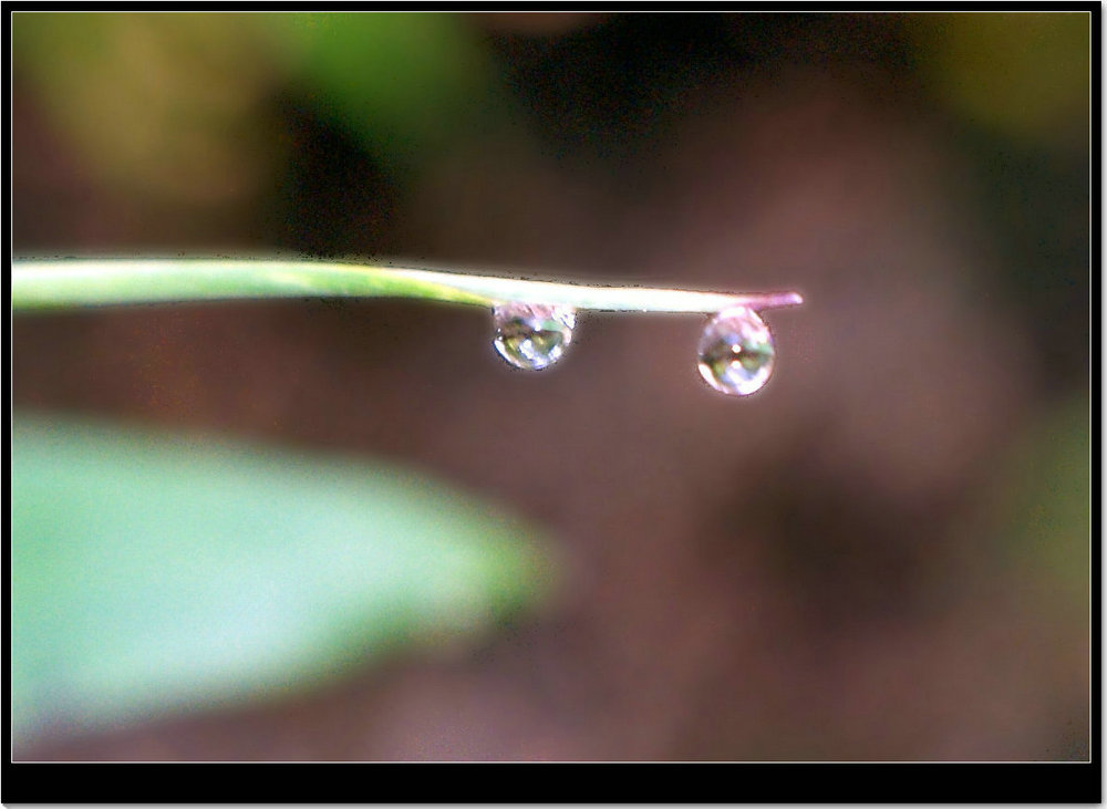 DSC04024_副本1.JPG