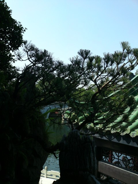 DSC00151 (1)_.jpg