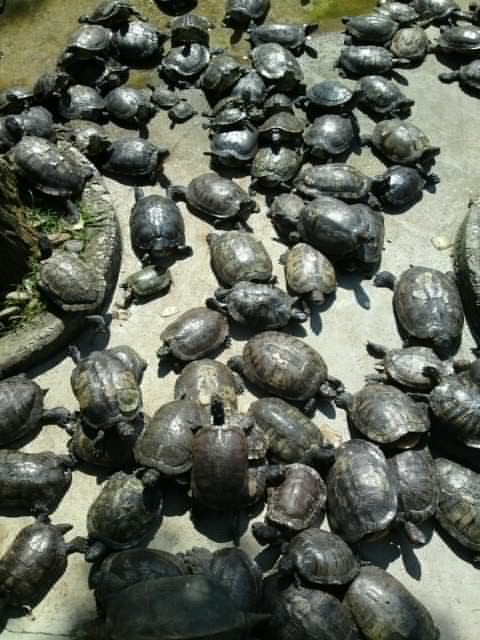 DSC00158_.jpg