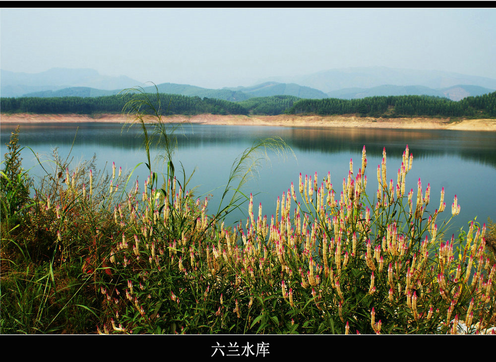 DSC04114.jpg