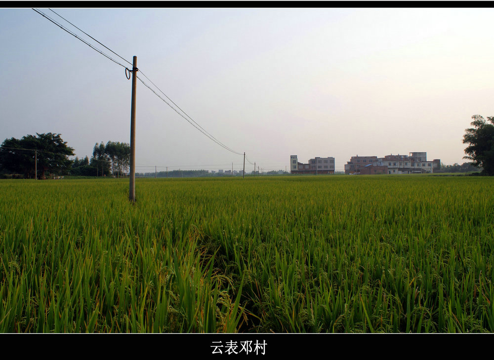 DSC04117.jpg