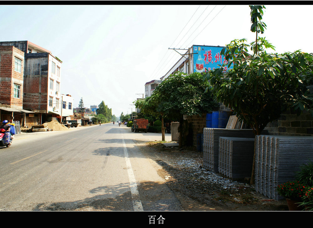 DSC04483.jpg