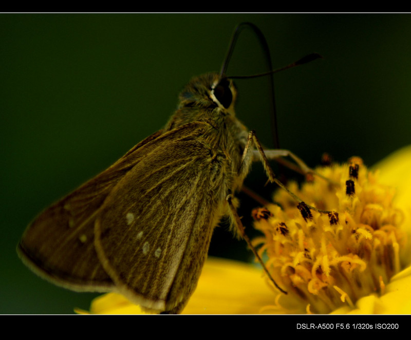 a8098072_s.jpg
