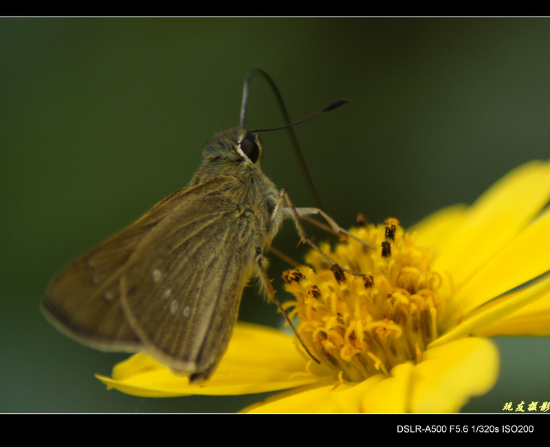 a8098084_s.jpg