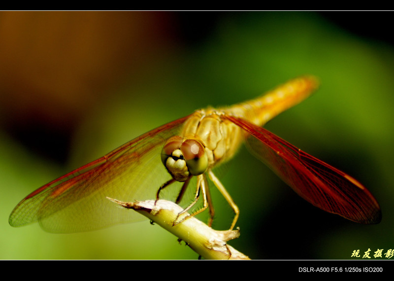 a8098119_s.jpg