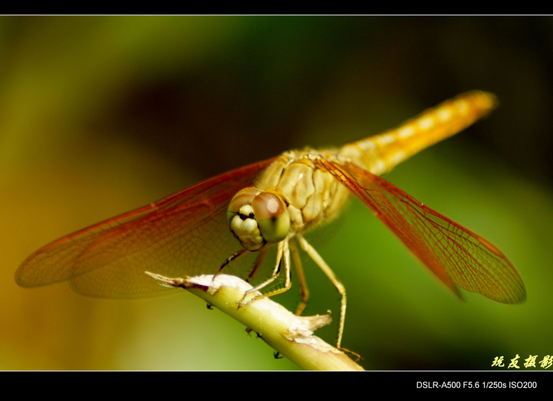 a8098197_s.jpg