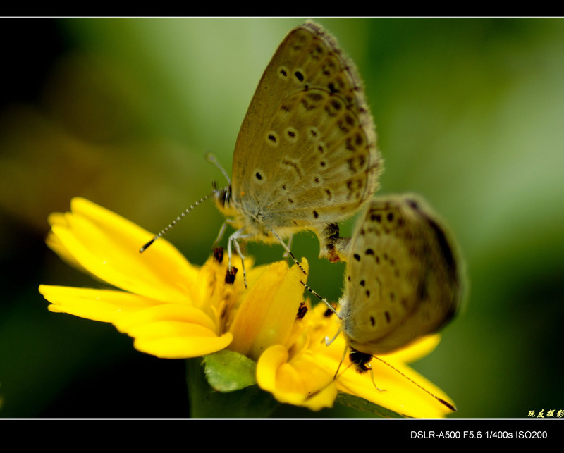 a8098253_s.jpg