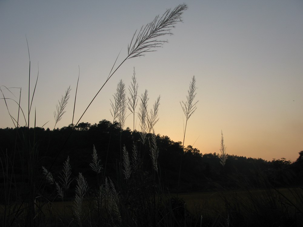 IMG_0278.JPG