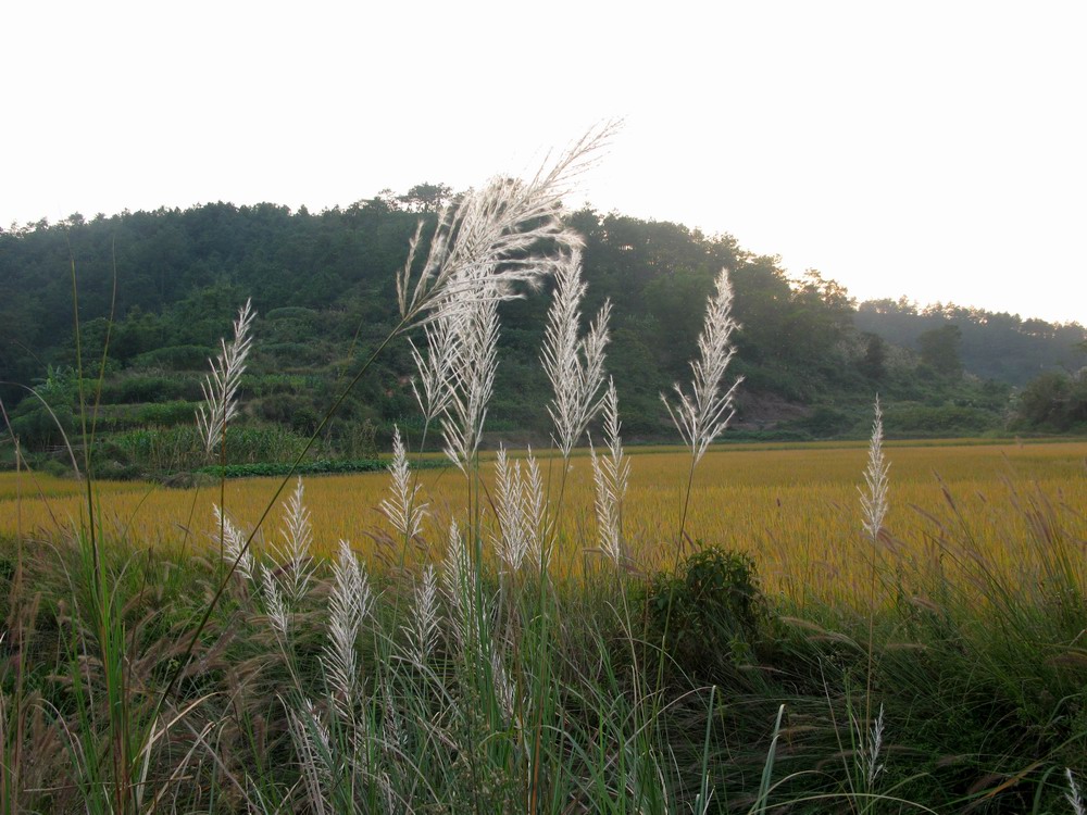 重新曝光 IMG_0279.JPG