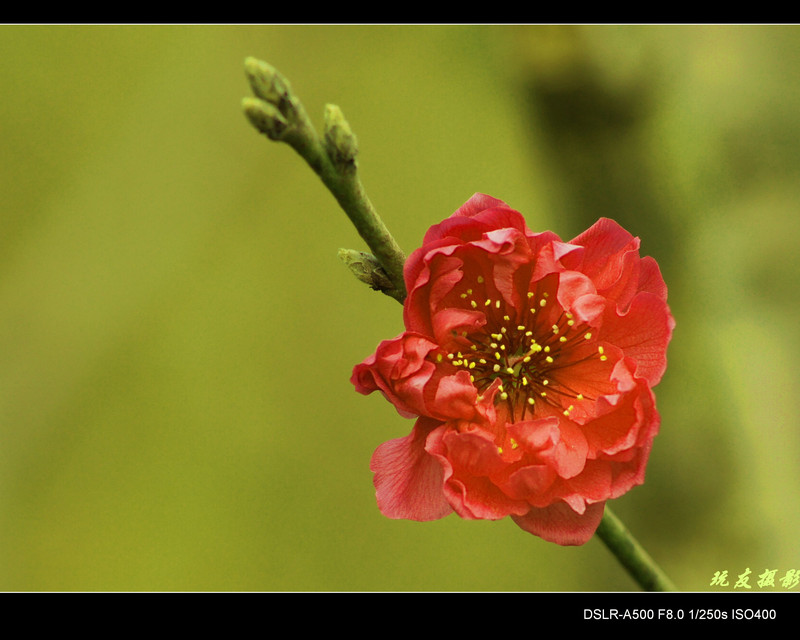 a8133529_s.jpg