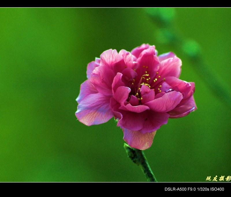 a8133478_s.jpg
