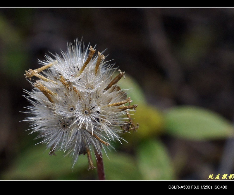 a8133829_s.jpg