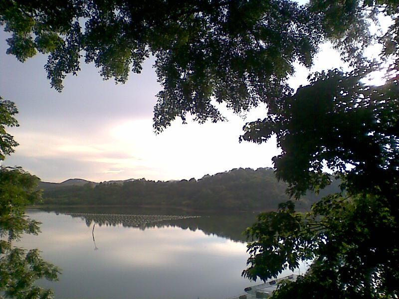 夕阳下的我的梦