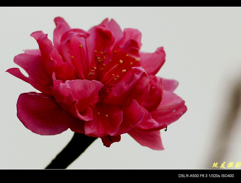 a8142252_s.jpg