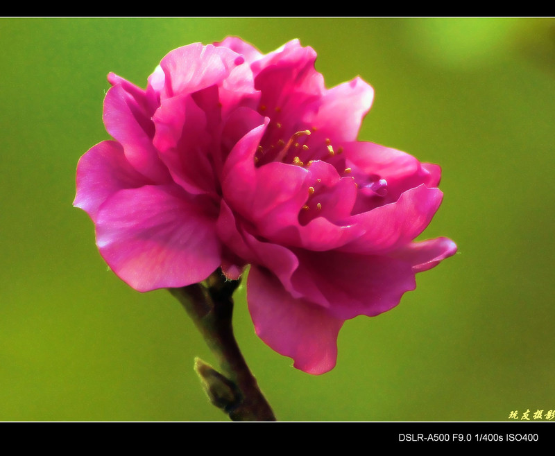 a8142263_s.jpg