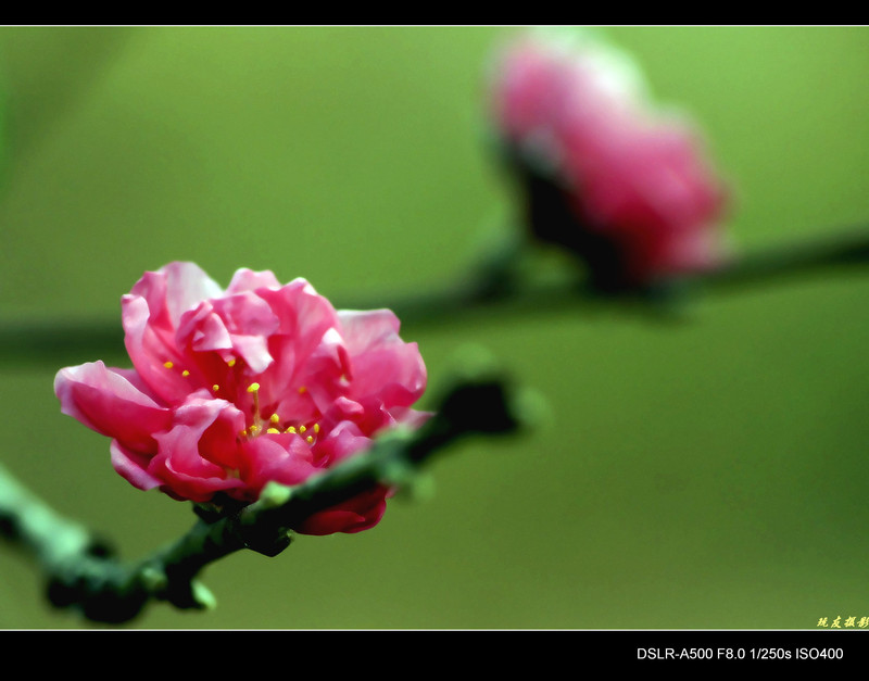 a8142290_s.jpg