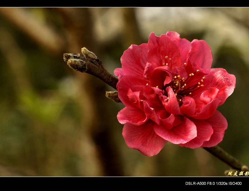 a8142301_s.jpg