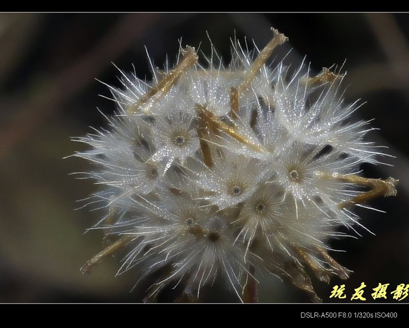a8142310_s.jpg