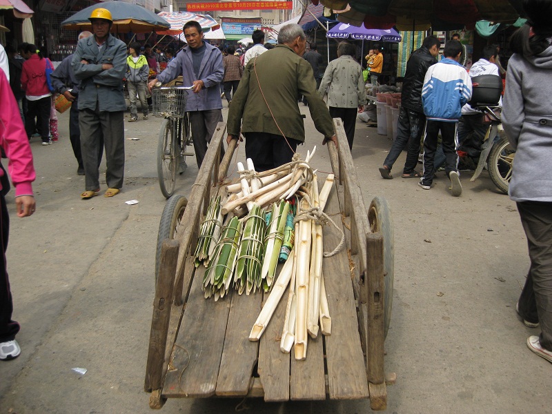 IMG_8216.JPG