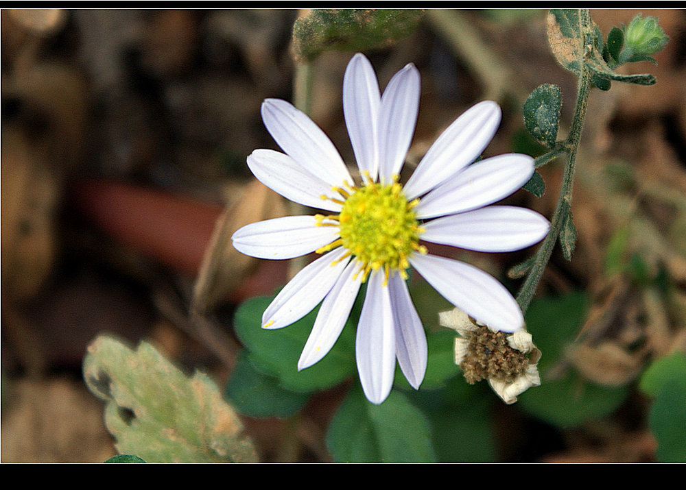 DSC05843.JPG
