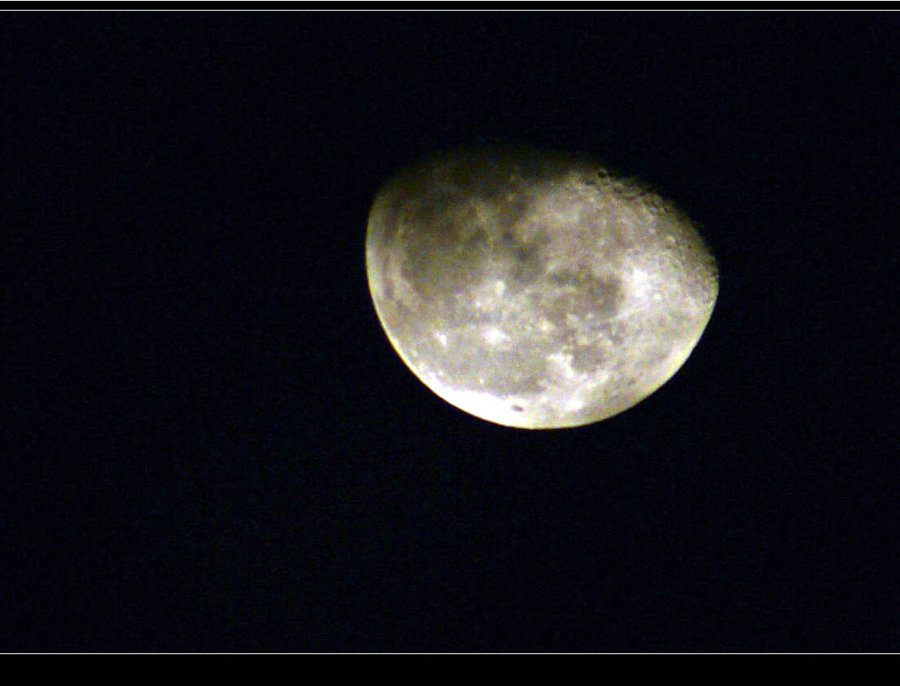 DSC04429.JPG