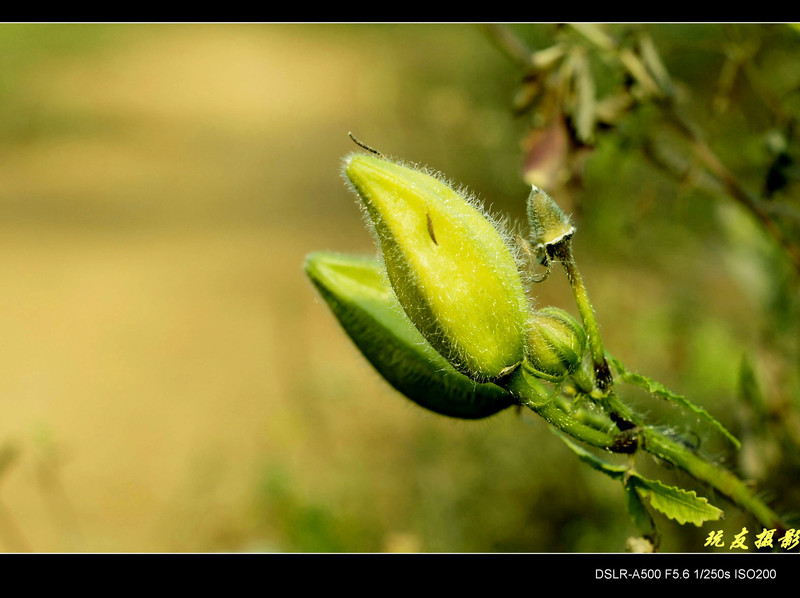 a8172633_s.jpg