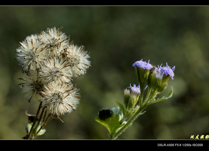 a8172653_s.jpg