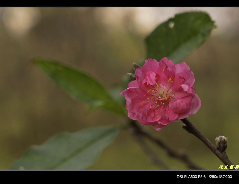 a8172662_s.jpg