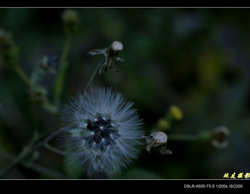 a8172688_s.jpg