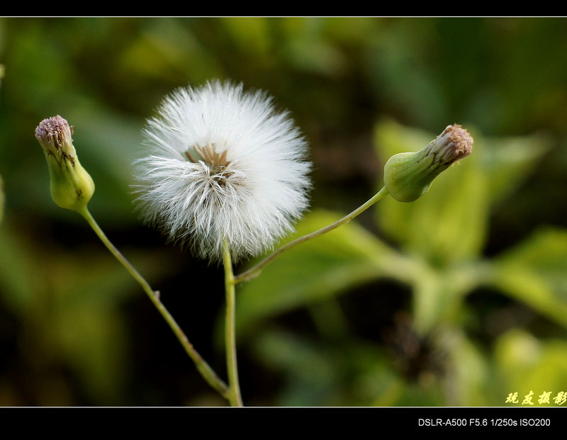 a8172734_s.jpg