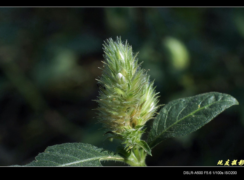 a8172842_s.jpg