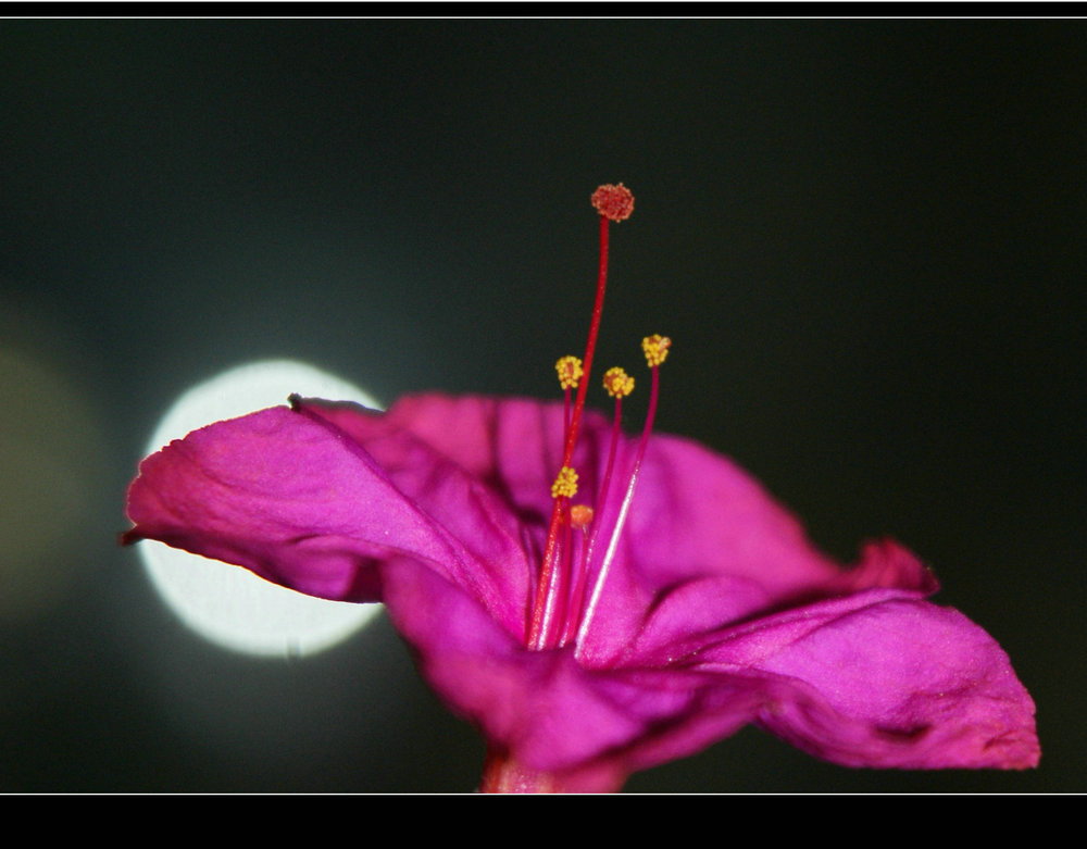 DSC04544.JPG