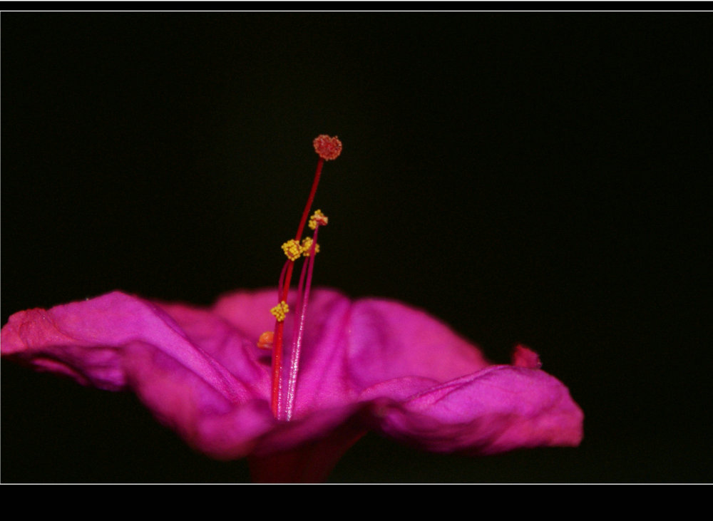 DSC04553.JPG