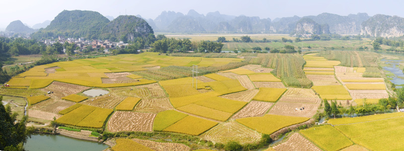 全景图001-007x.jpg