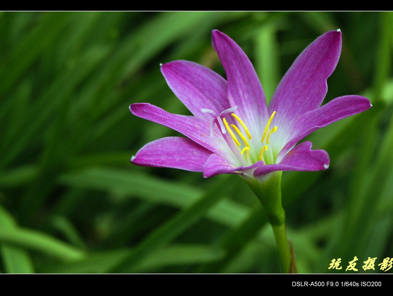 a8183956_s.jpg