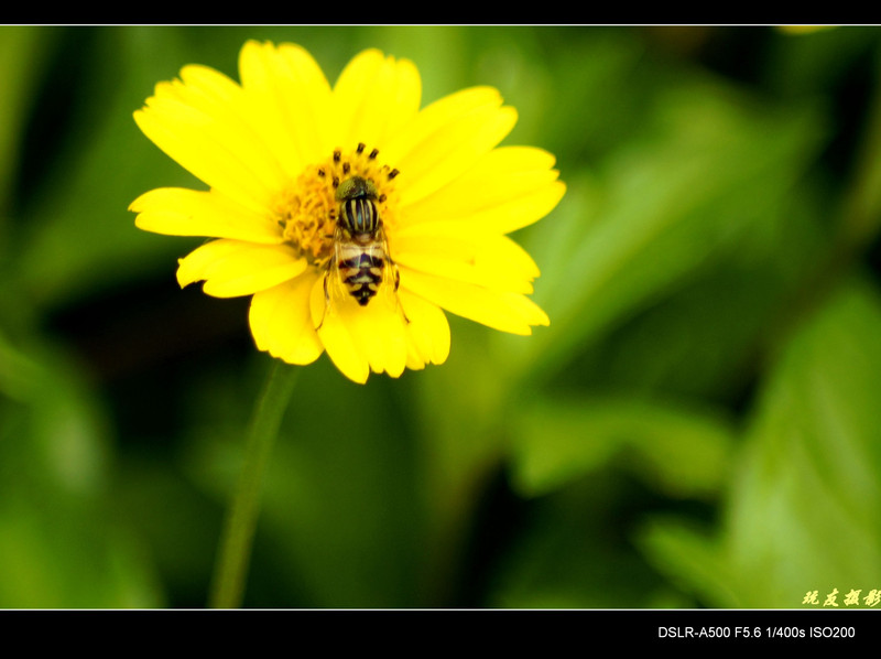 a8184034_s.jpg