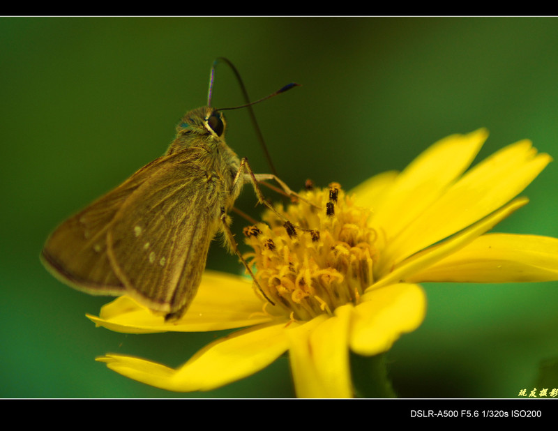 a8184065_s.jpg