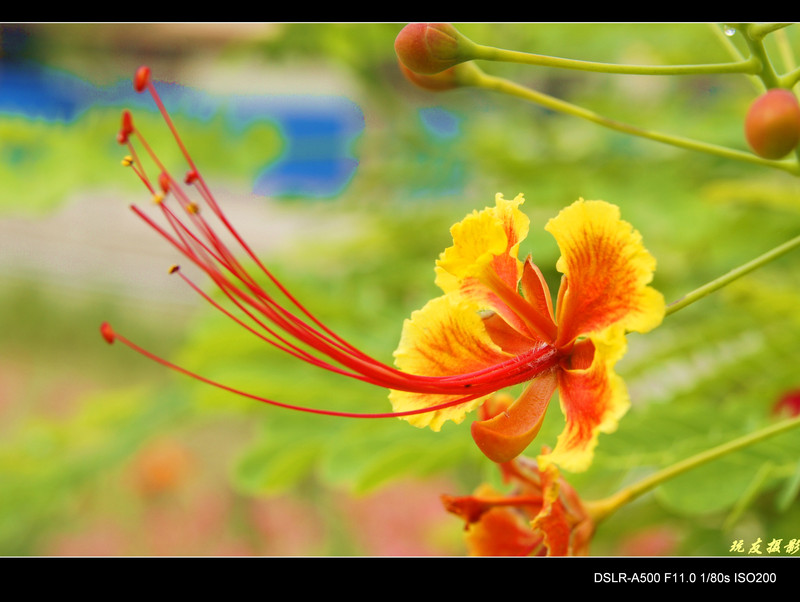 a8184162_s.jpg